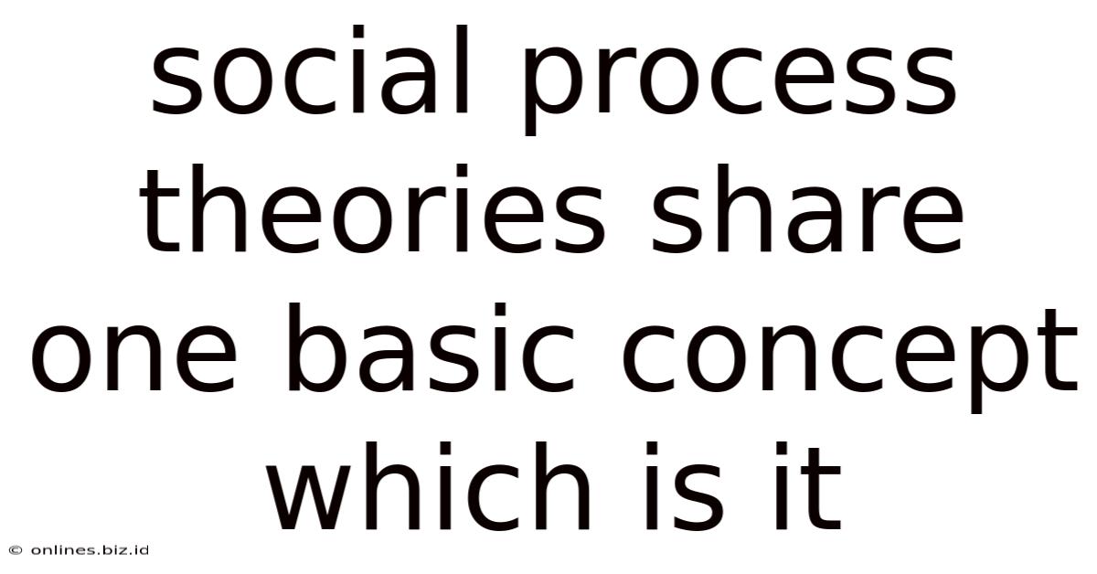 Social Process Theories Share One Basic Concept Which Is It