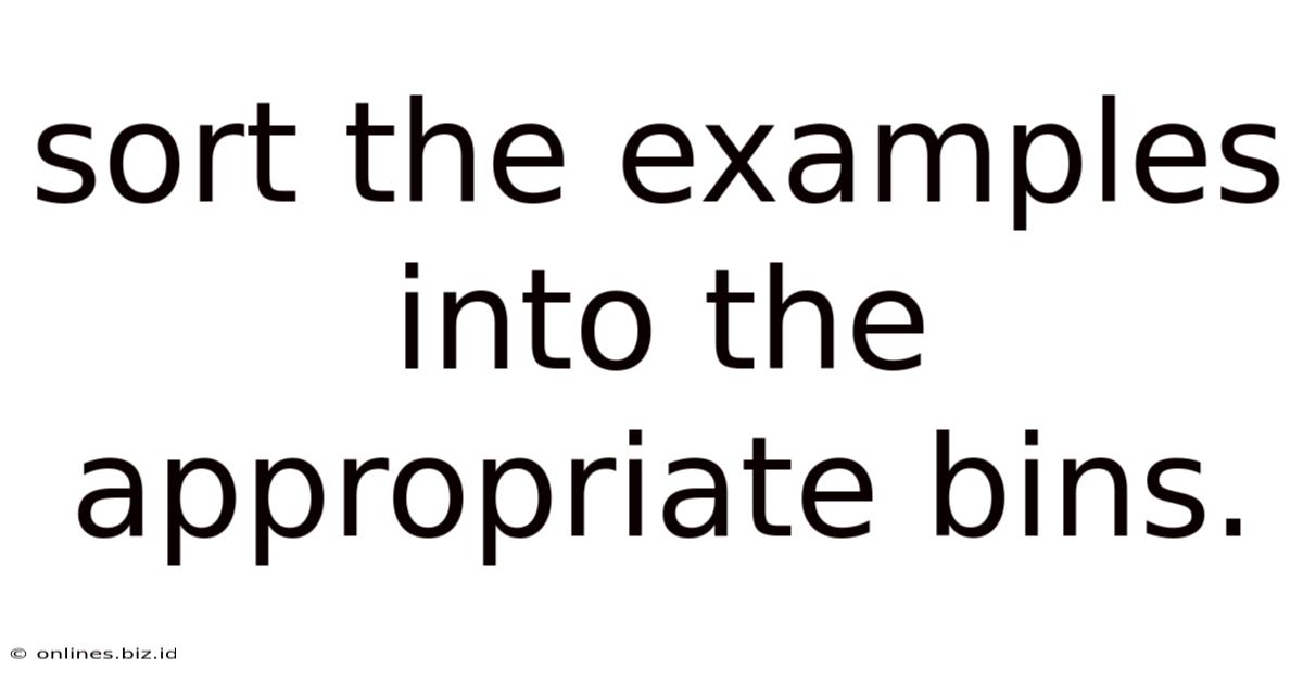 Sort The Examples Into The Appropriate Bins.