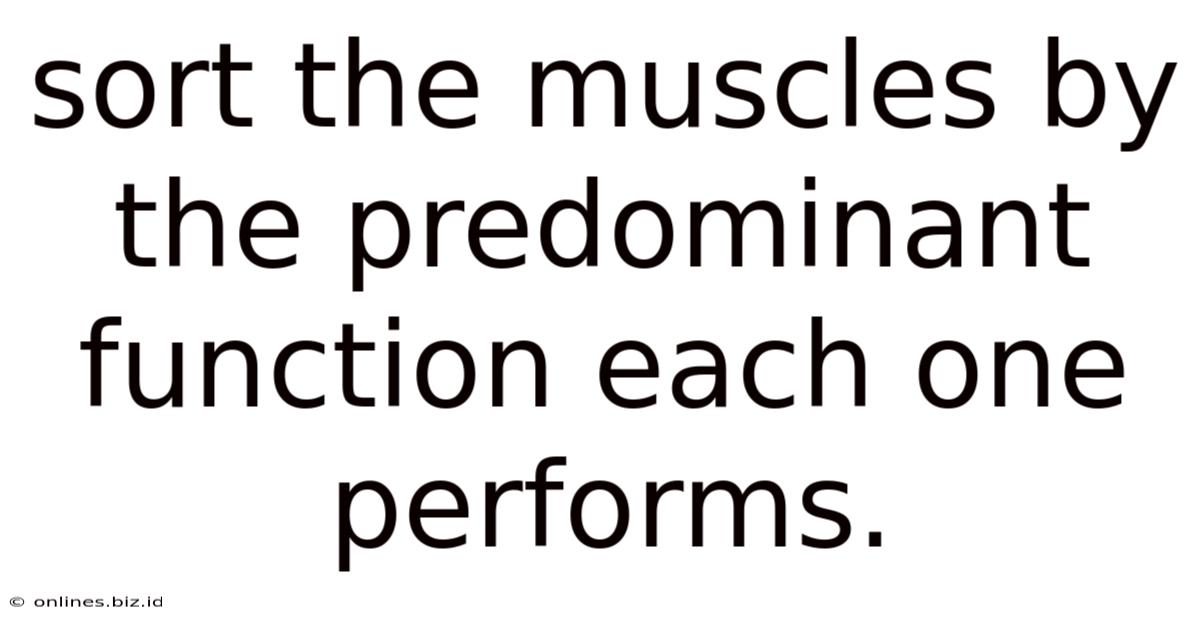 Sort The Muscles By The Predominant Function Each One Performs.
