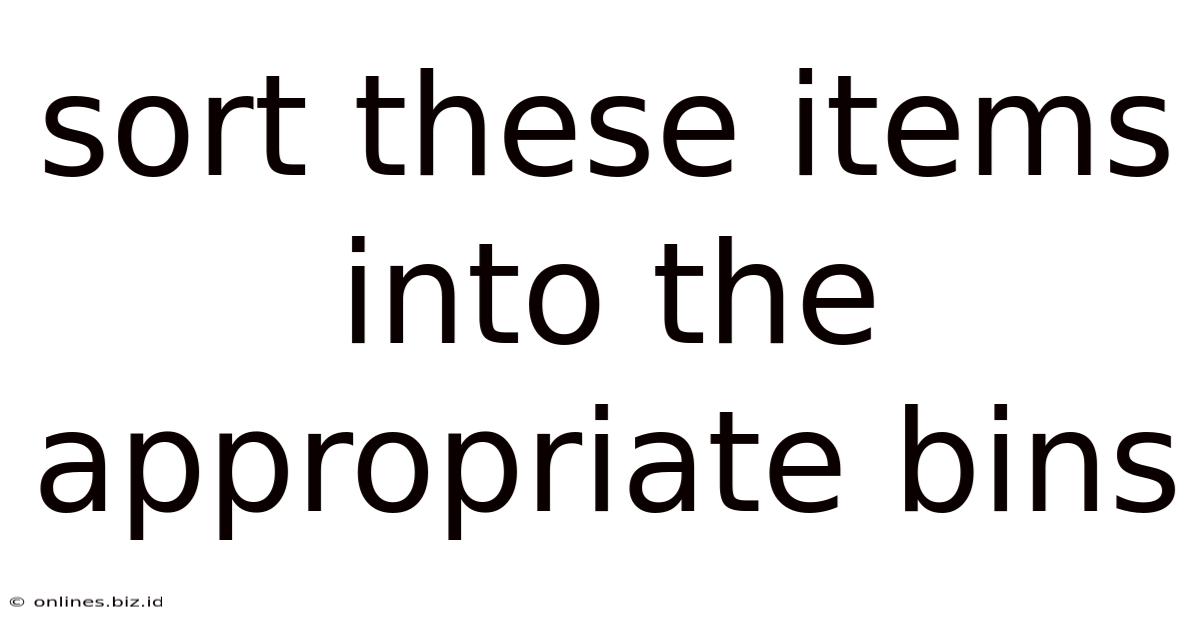 Sort These Items Into The Appropriate Bins