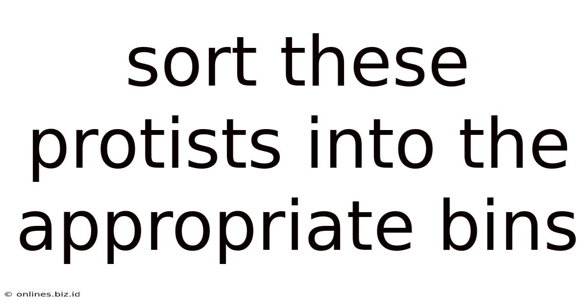 Sort These Protists Into The Appropriate Bins