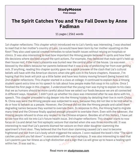 Spirit Catches You And You Fall Down Chapter Summary