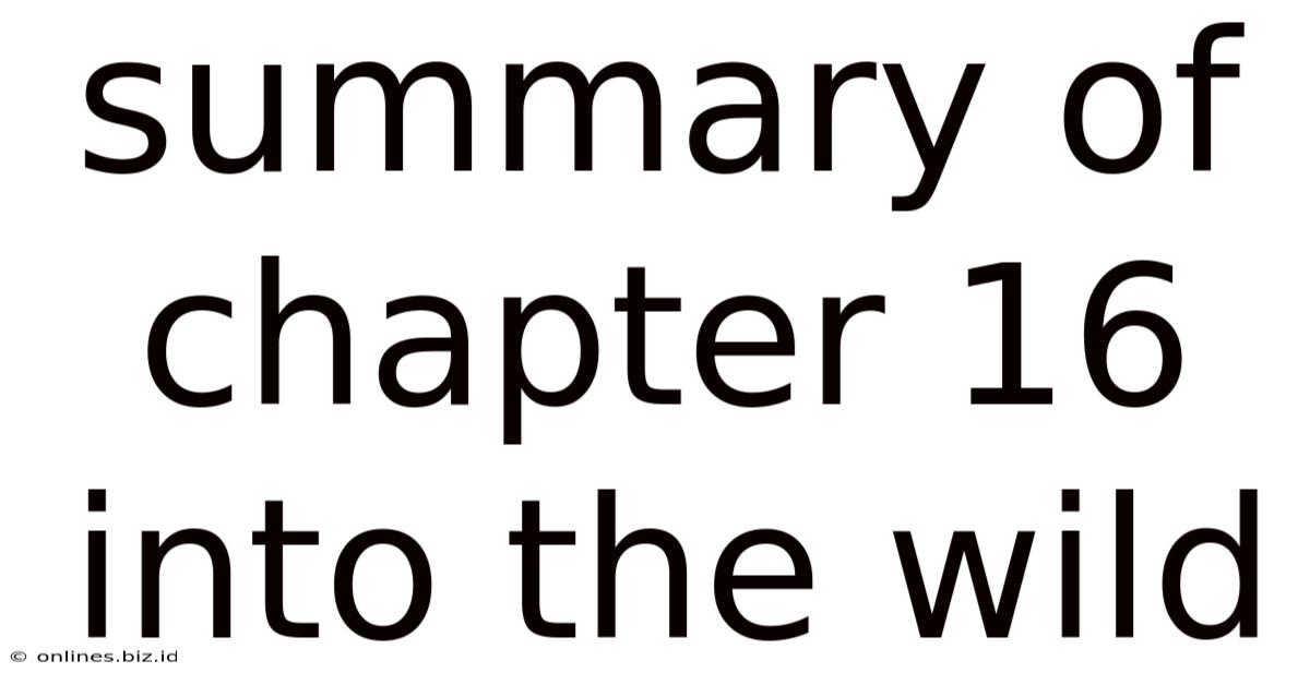 Summary Of Chapter 16 Into The Wild