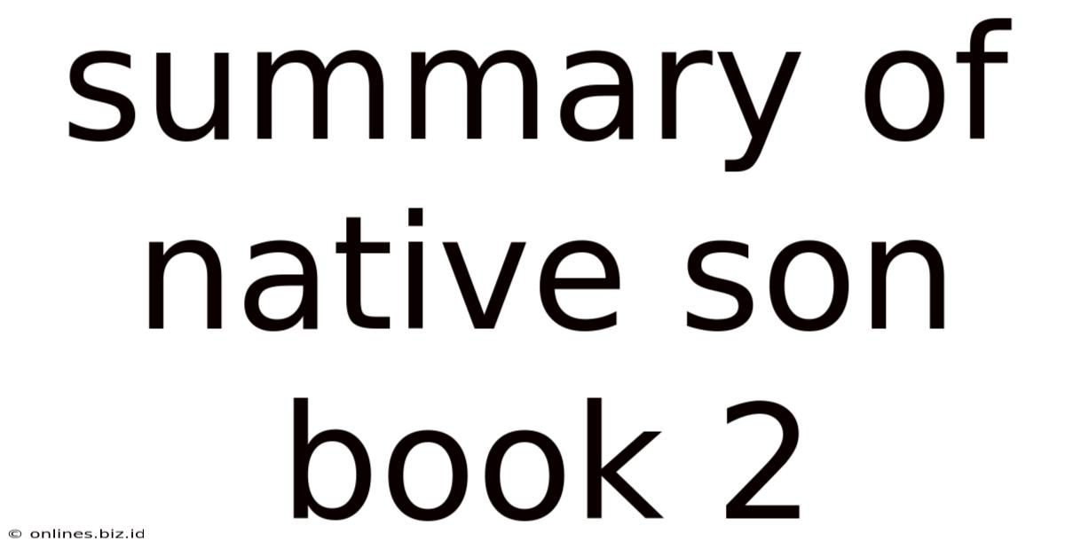 Summary Of Native Son Book 2