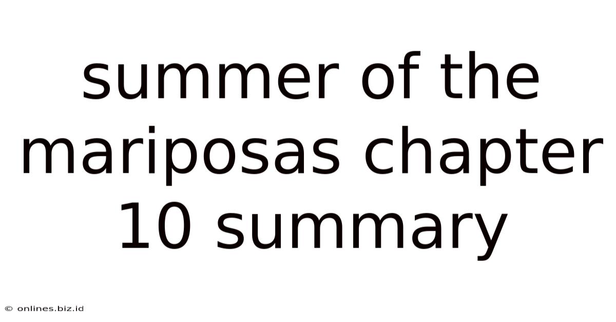 Summer Of The Mariposas Chapter 10 Summary