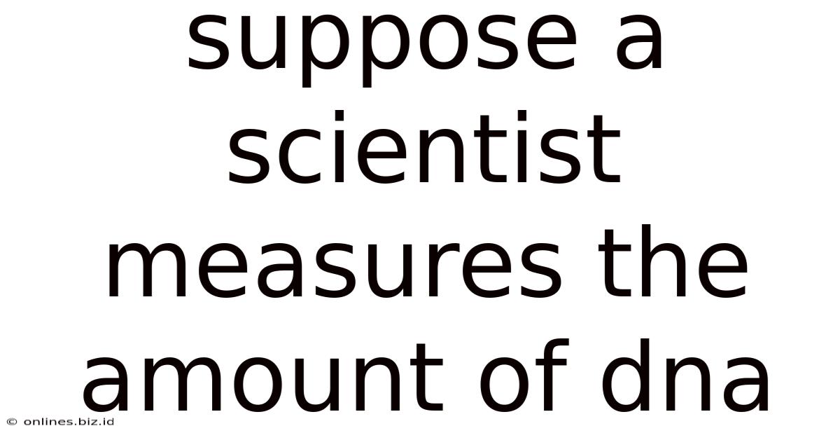 Suppose A Scientist Measures The Amount Of Dna