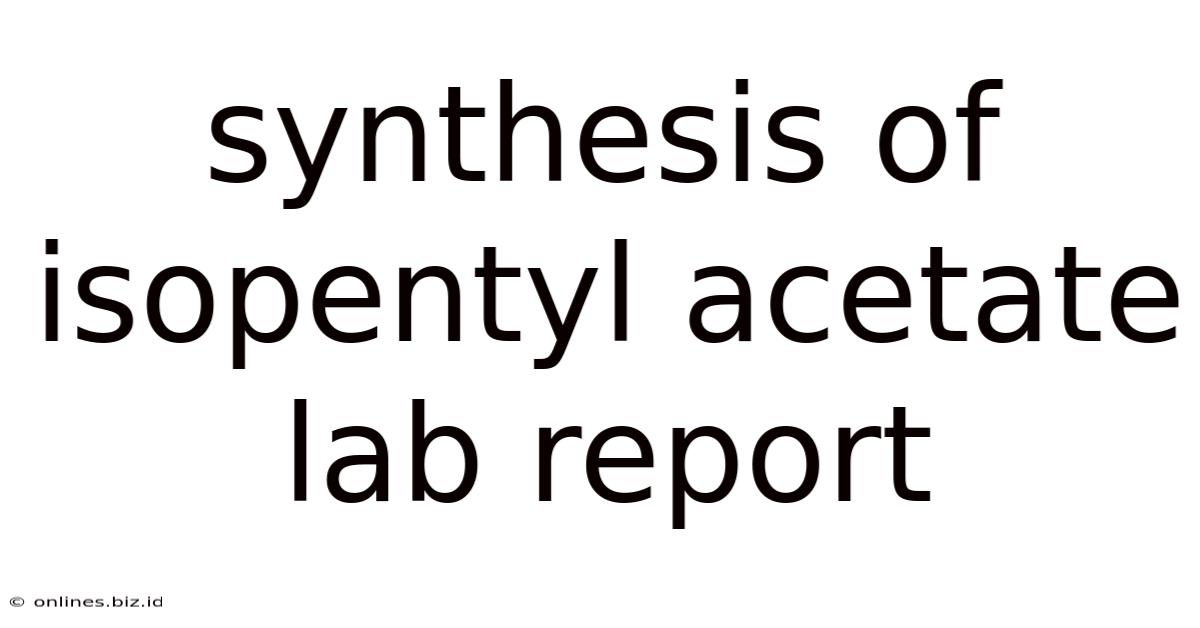 Synthesis Of Isopentyl Acetate Lab Report
