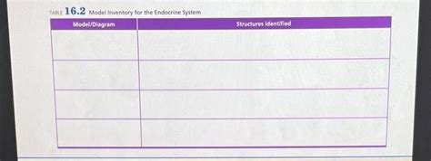 Table 16.2 Model Inventory For The Endocrine System