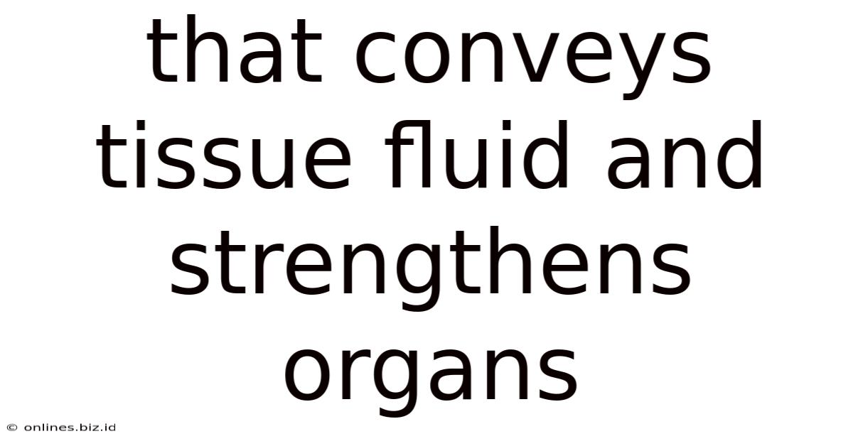That Conveys Tissue Fluid And Strengthens Organs