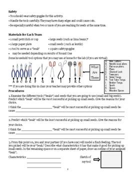 The Beaks Of Finches Lab Answers Pdf