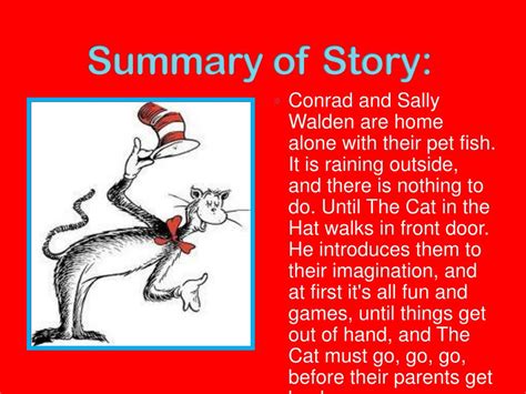 The Cat In The Hat Summary Book