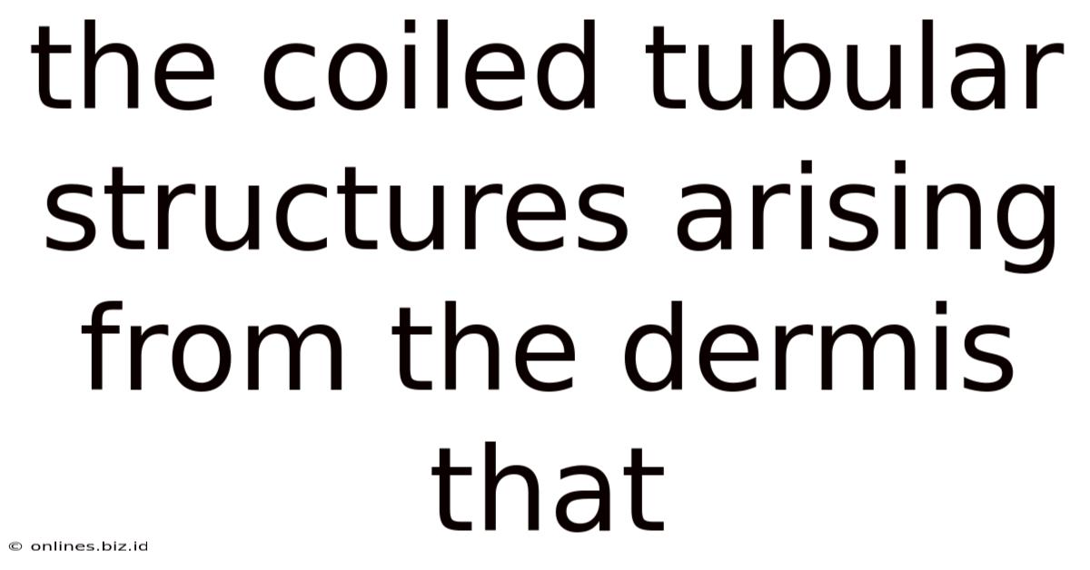 The Coiled Tubular Structures Arising From The Dermis That