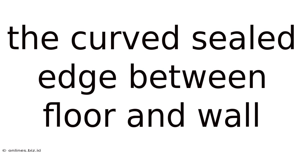 The Curved Sealed Edge Between Floor And Wall