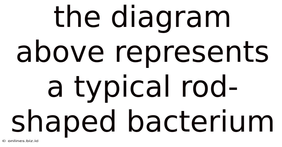 The Diagram Above Represents A Typical Rod-shaped Bacterium