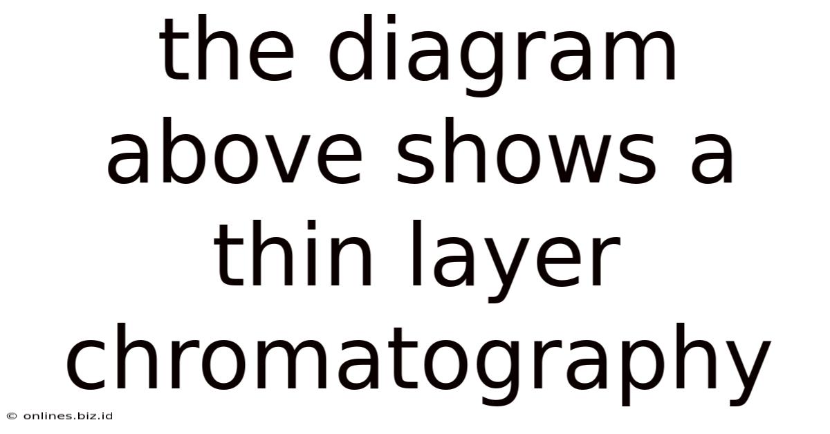 The Diagram Above Shows A Thin Layer Chromatography
