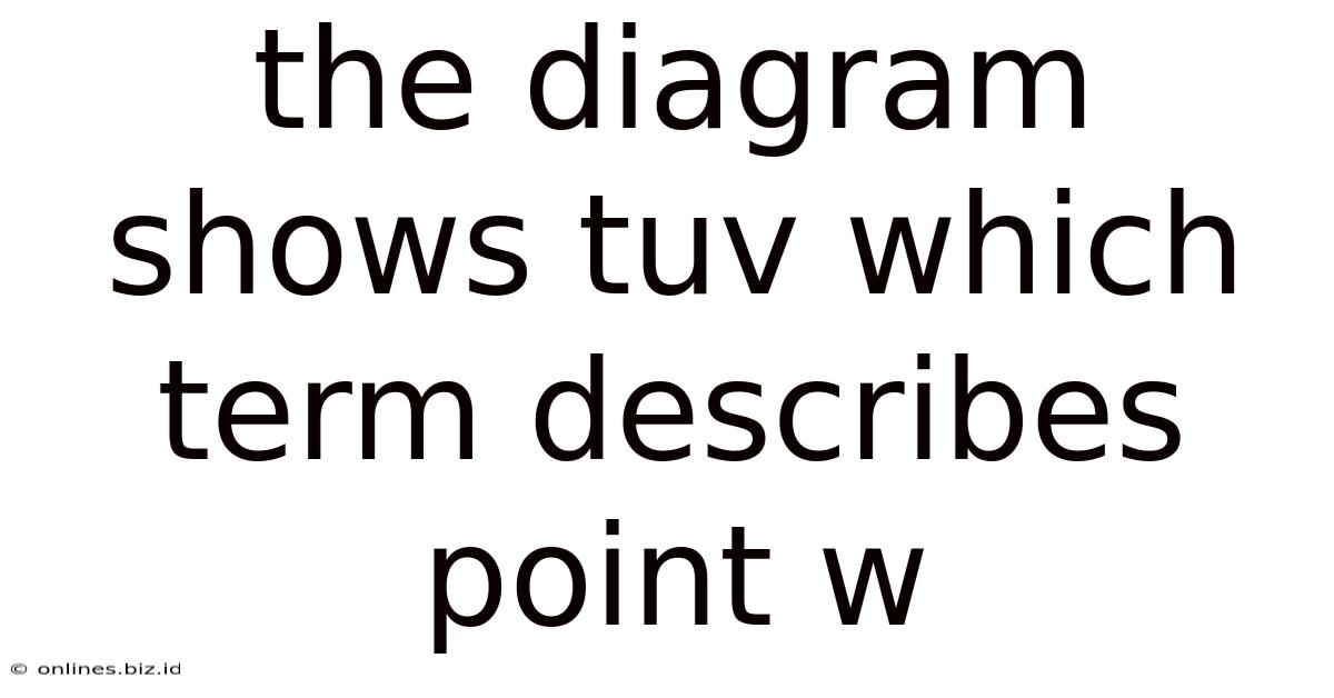 The Diagram Shows Tuv Which Term Describes Point W