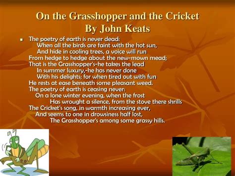 The Grasshopper And The Bell Cricket Summary