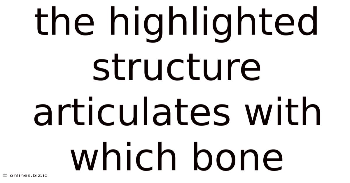 The Highlighted Structure Articulates With Which Bone