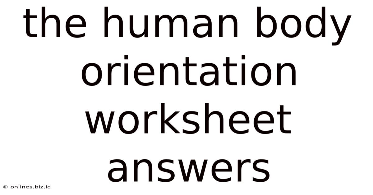 The Human Body Orientation Worksheet Answers