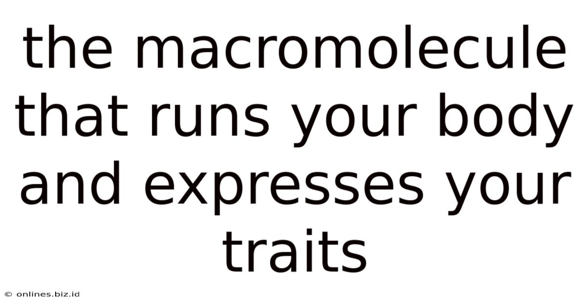 The Macromolecule That Runs Your Body And Expresses Your Traits