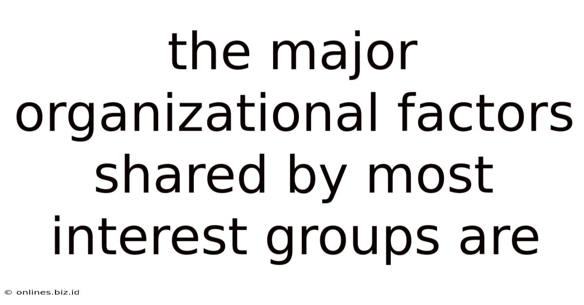 The Major Organizational Factors Shared By Most Interest Groups Are