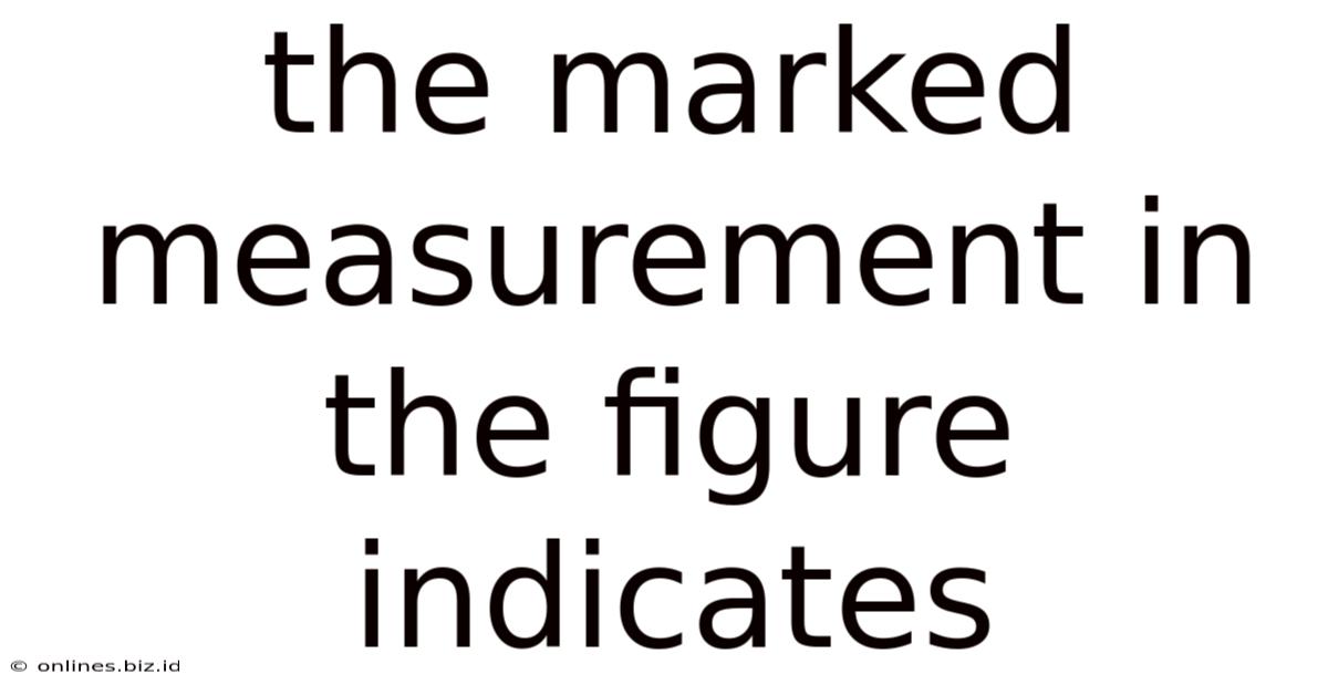 The Marked Measurement In The Figure Indicates