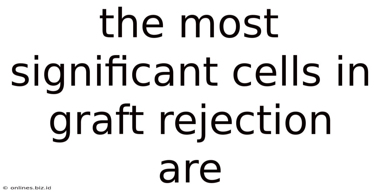 The Most Significant Cells In Graft Rejection Are
