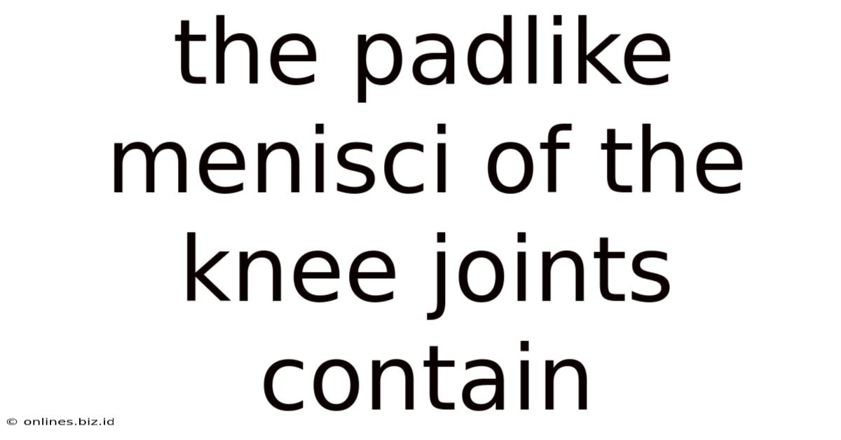 The Padlike Menisci Of The Knee Joints Contain