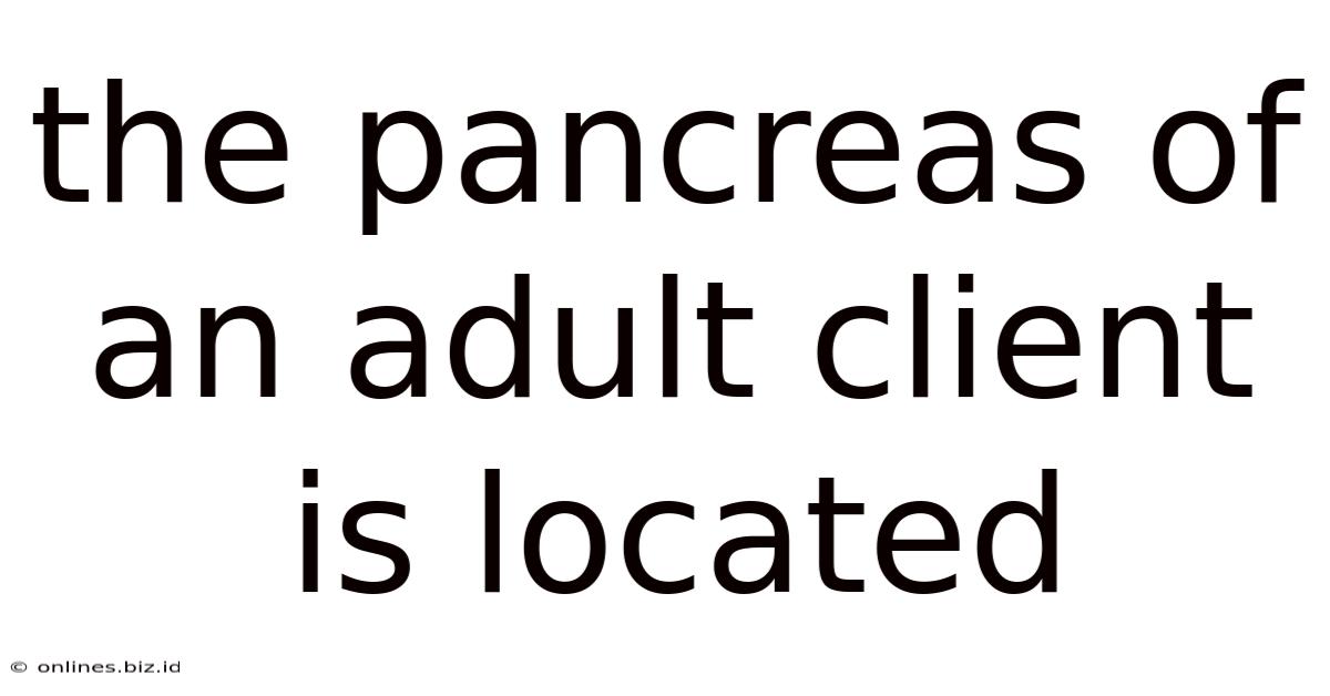 The Pancreas Of An Adult Client Is Located