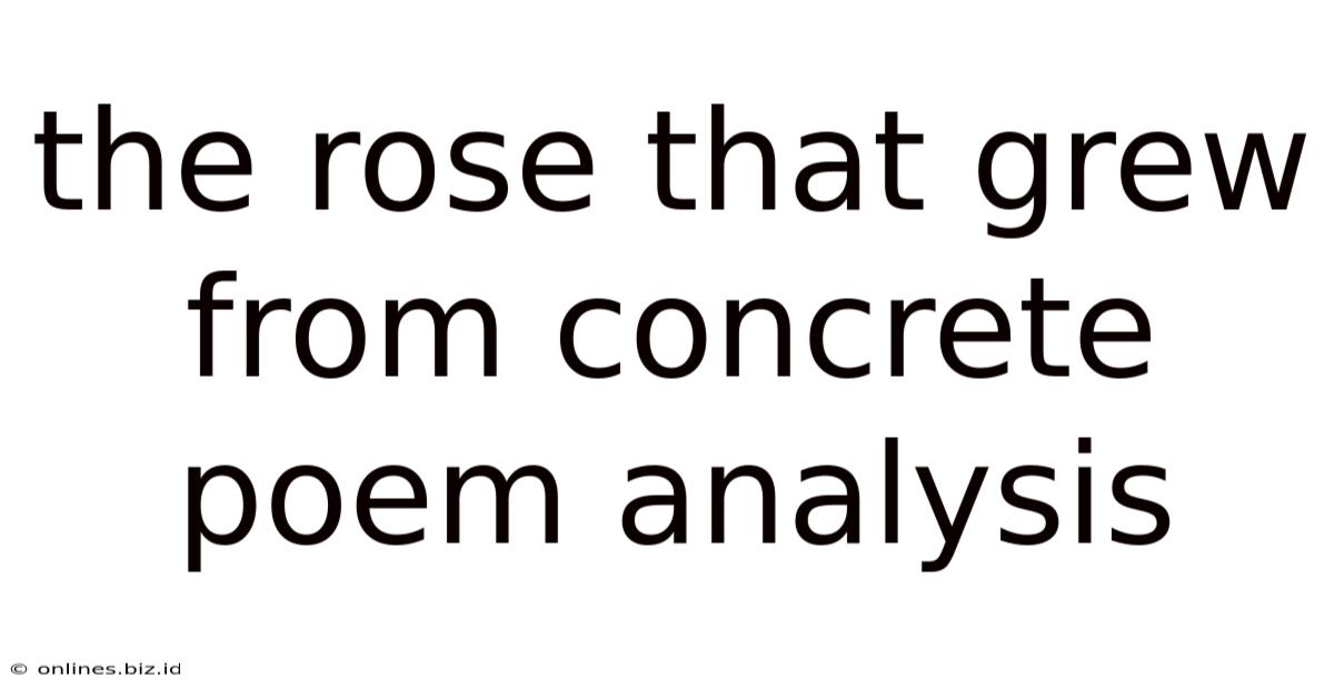 The Rose That Grew From Concrete Poem Analysis