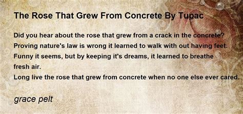 The Rose That Grew From Concrete Theme