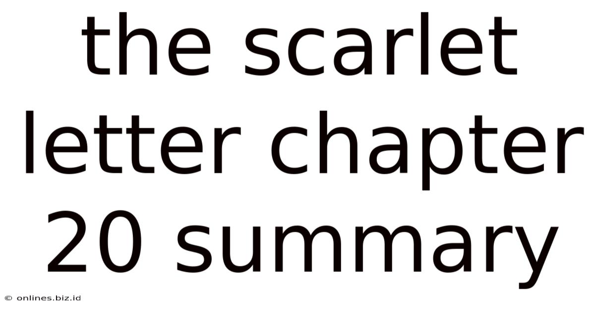 The Scarlet Letter Chapter 20 Summary