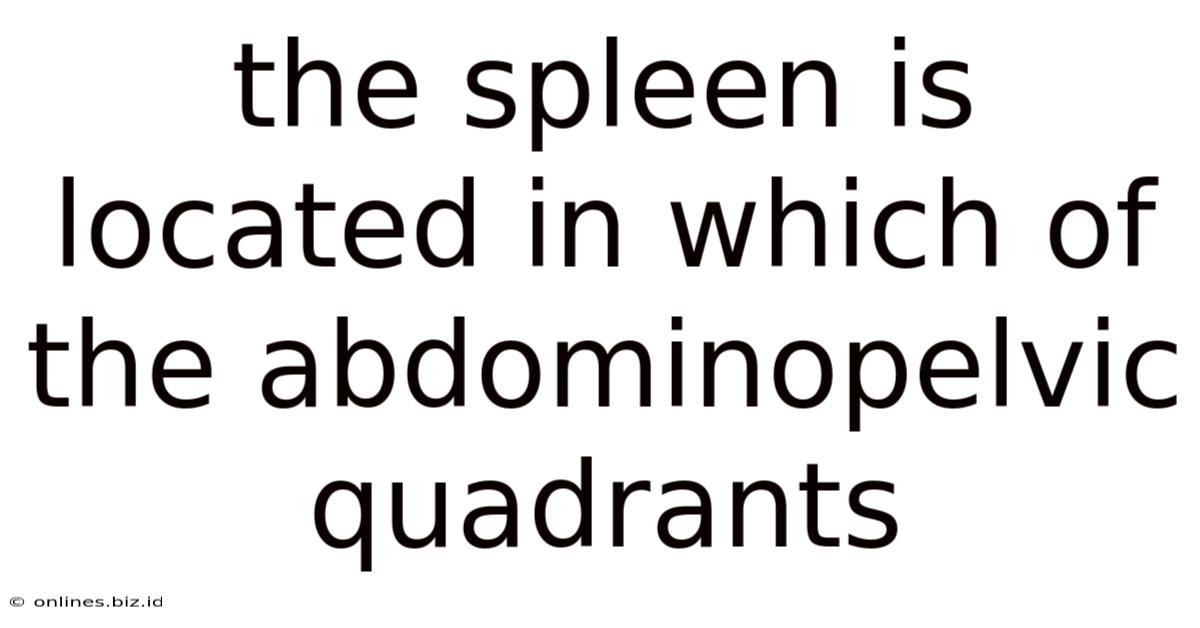 The Spleen Is Located In Which Of The Abdominopelvic Quadrants