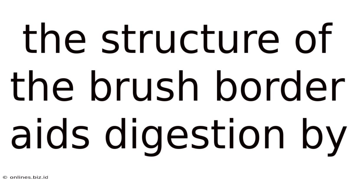 The Structure Of The Brush Border Aids Digestion By