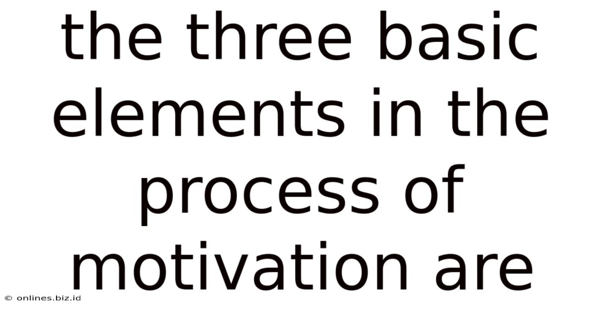The Three Basic Elements In The Process Of Motivation Are