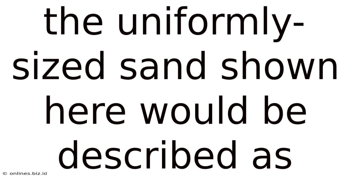 The Uniformly-sized Sand Shown Here Would Be Described As