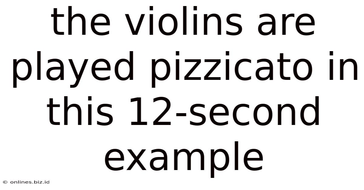 The Violins Are Played Pizzicato In This 12-second Example