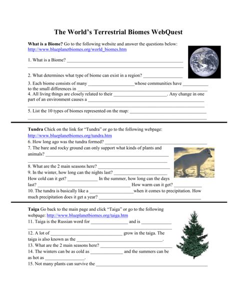 The World's Terrestrial Biomes Webquest Answer Key