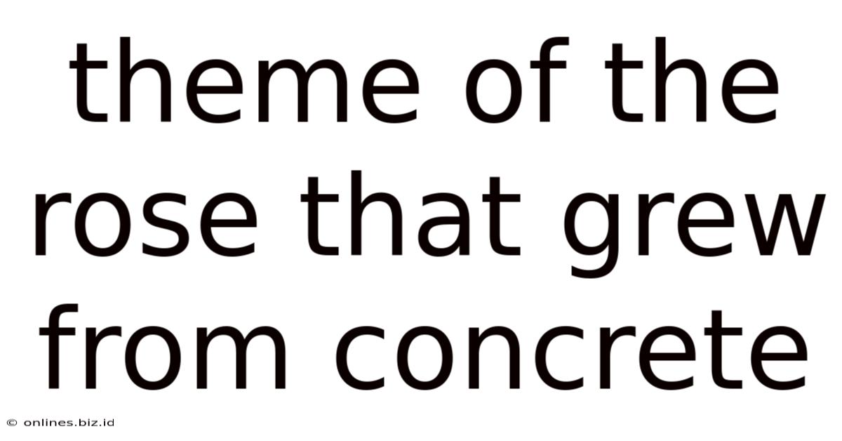 Theme Of The Rose That Grew From Concrete