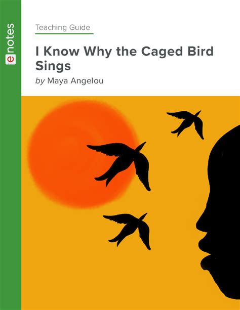 Themes For I Know Why The Caged Bird Sings