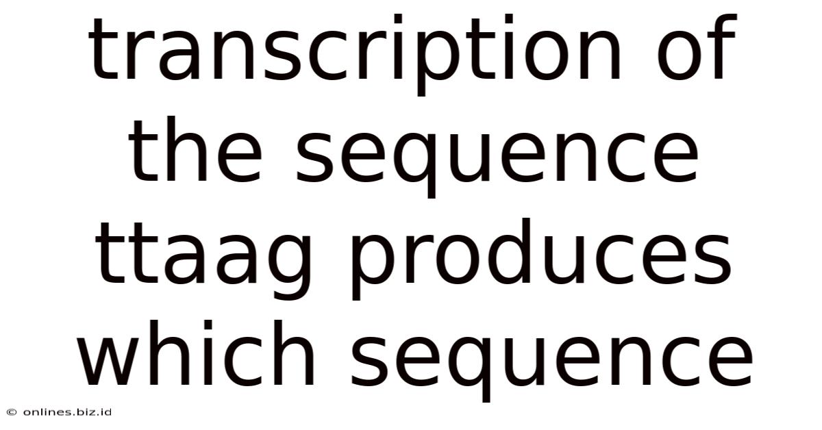 Transcription Of The Sequence Ttaag Produces Which Sequence