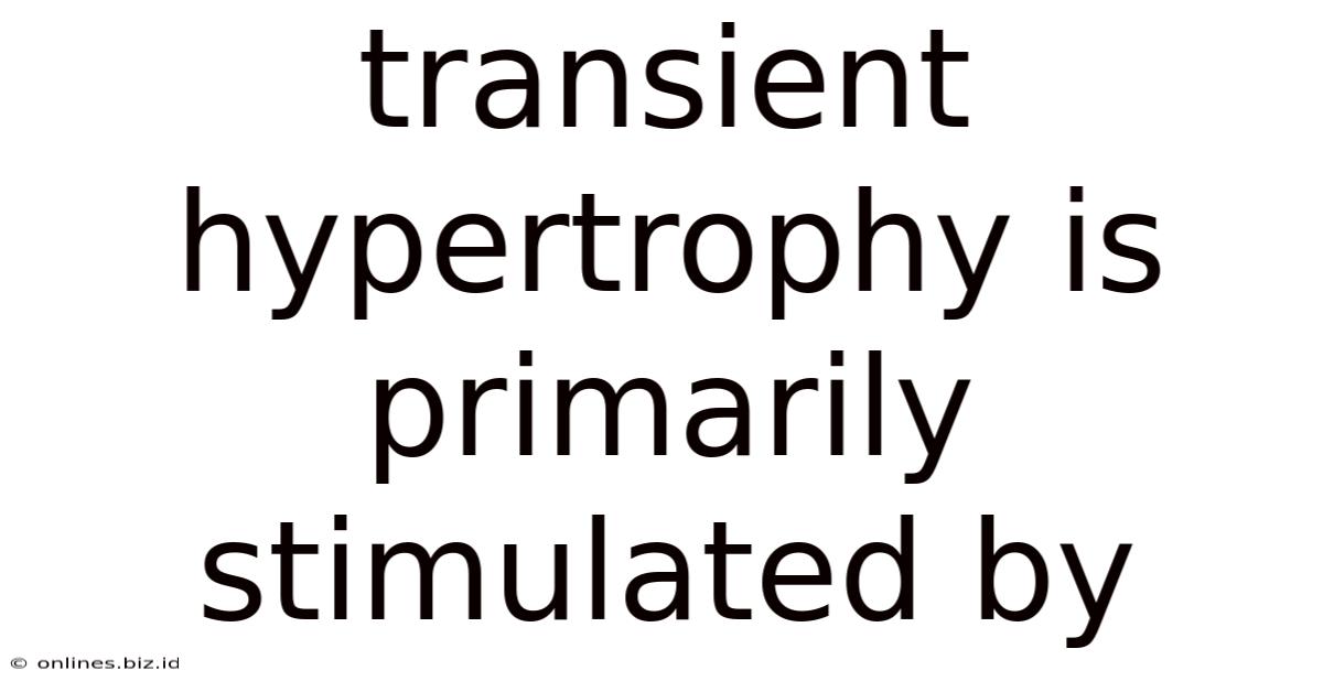 Transient Hypertrophy Is Primarily Stimulated By