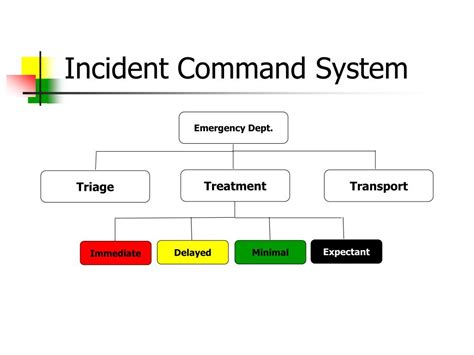 Treatment And Transport Priorities At The Scene