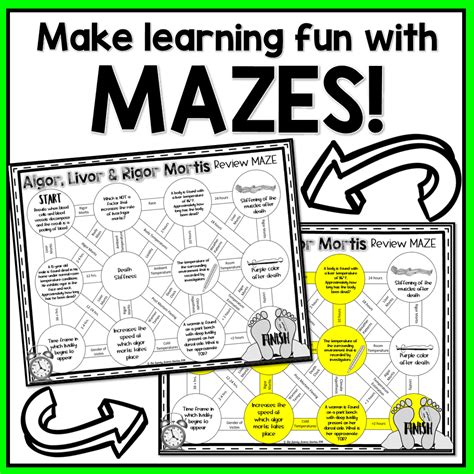 Types Of Evidence Review Maze Answer Key