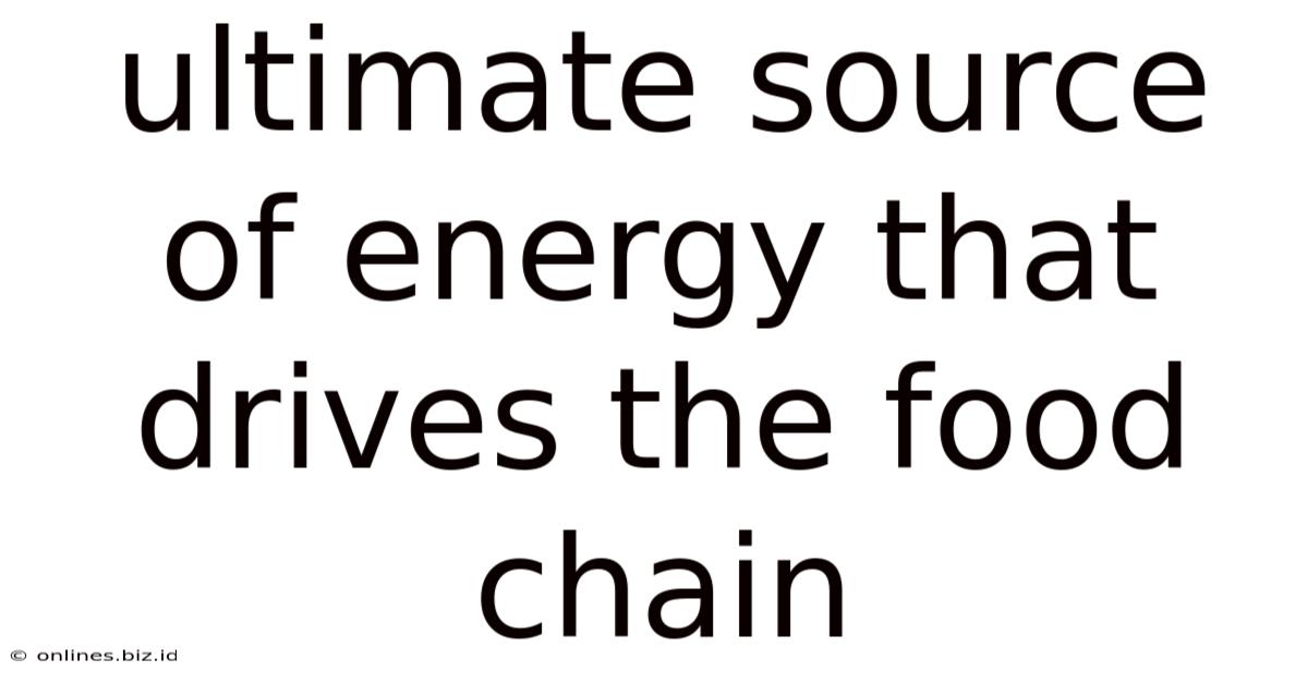 Ultimate Source Of Energy That Drives The Food Chain