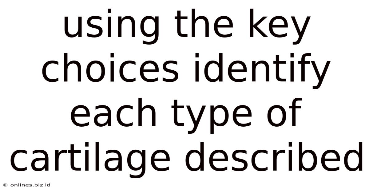 Using The Key Choices Identify Each Type Of Cartilage Described