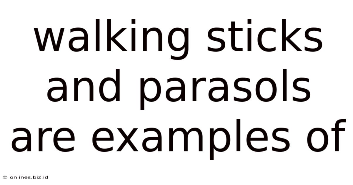 Walking Sticks And Parasols Are Examples Of