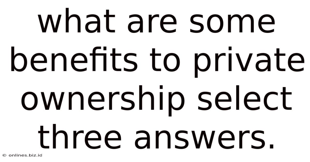 What Are Some Benefits To Private Ownership Select Three Answers.