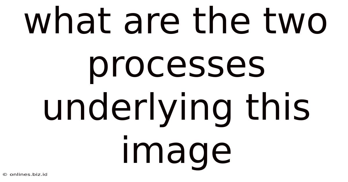 What Are The Two Processes Underlying This Image