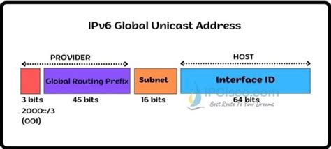 What Are Two Types Of Ipv6 Unicast Addresses Choose Two